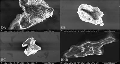 Adsorption Characteristics and Charge Transfer Kinetics of Fluoride in Water by Different Adsorbents